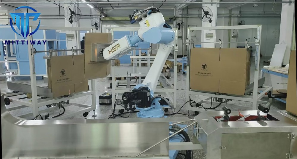 HUASHU Robot Carton